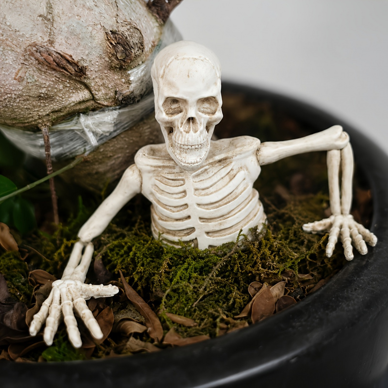 Ornamentos de Jardinagem em Fo - Bonsai Garden Landscape Design avaliação e preço